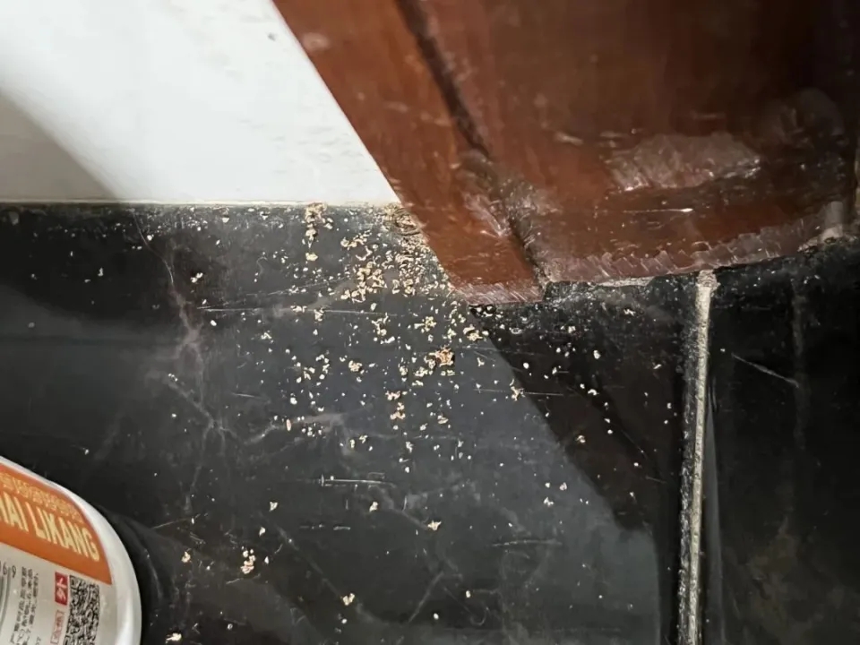 门框里面的白蚁